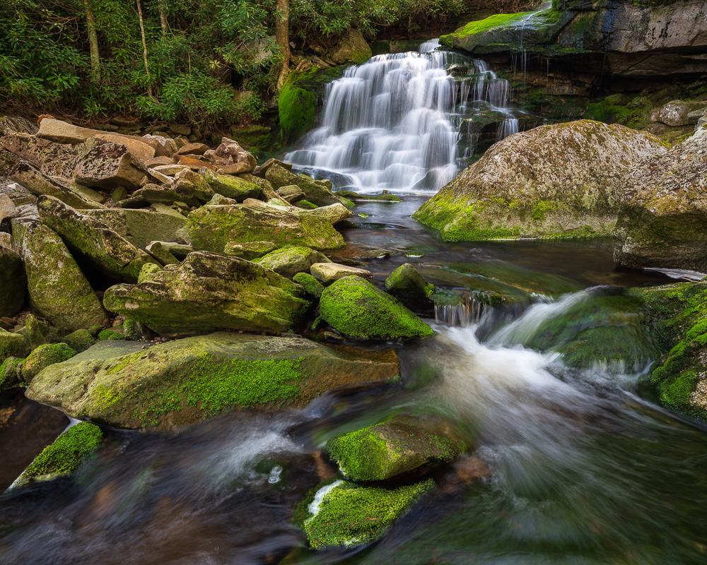 MAB-20210520-WV-BLACKWATER-ELAKALA-FALLS-SPRING-75292.jpg