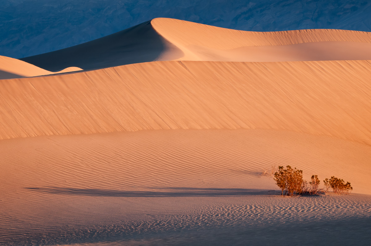 MAB-DJI-20080306-CA-DEATH-VALLEY-DUNE-SUNRISE-0001-2x.jpg
