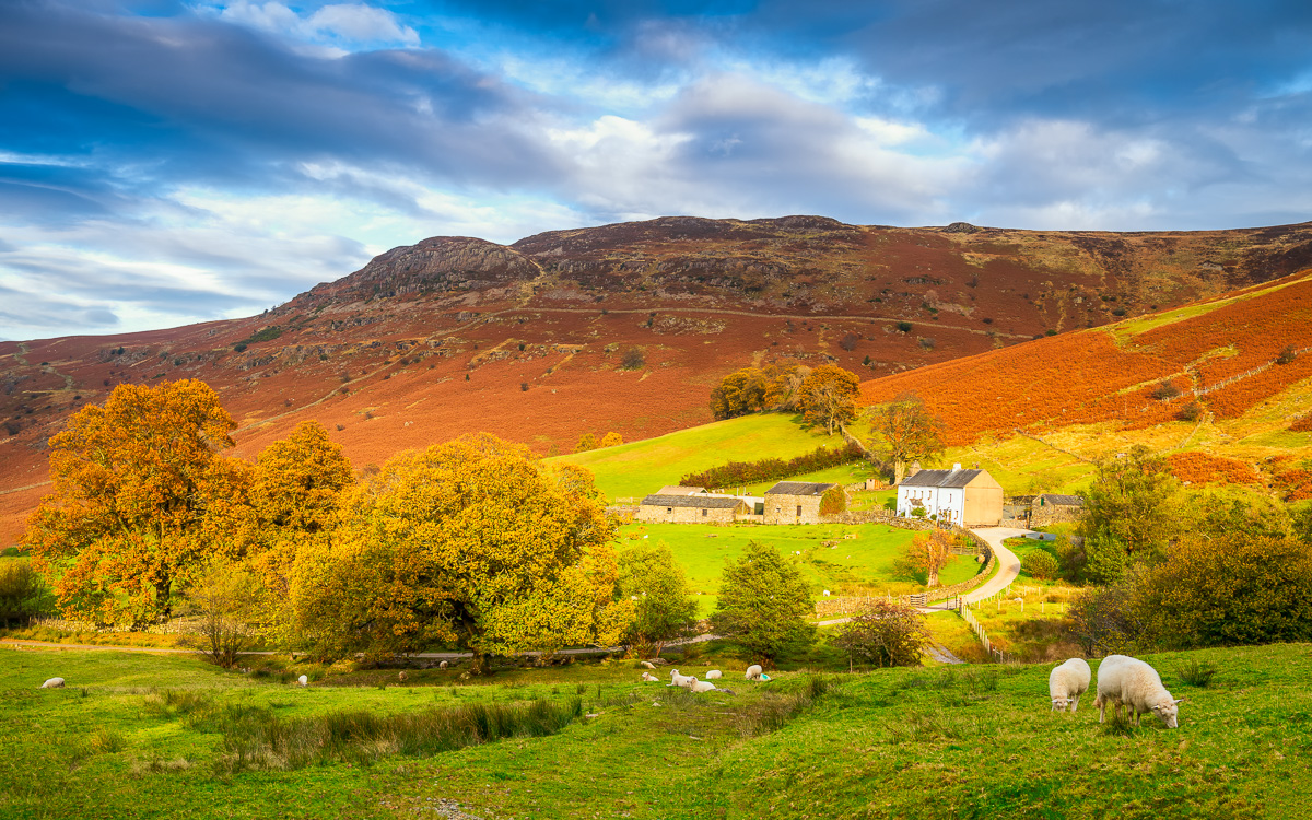 MAB-20191031-GB-LAKES-DISTRICT-ASHNESS-FARM-78209.jpg