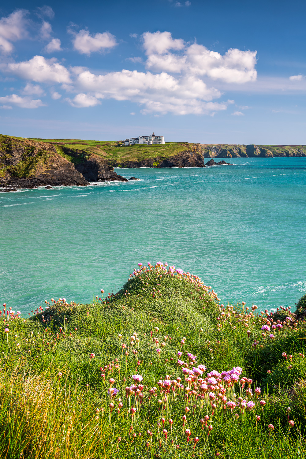GB-CORNWALL-LIZARD-PENINSULA-4356-FS-2.jpg