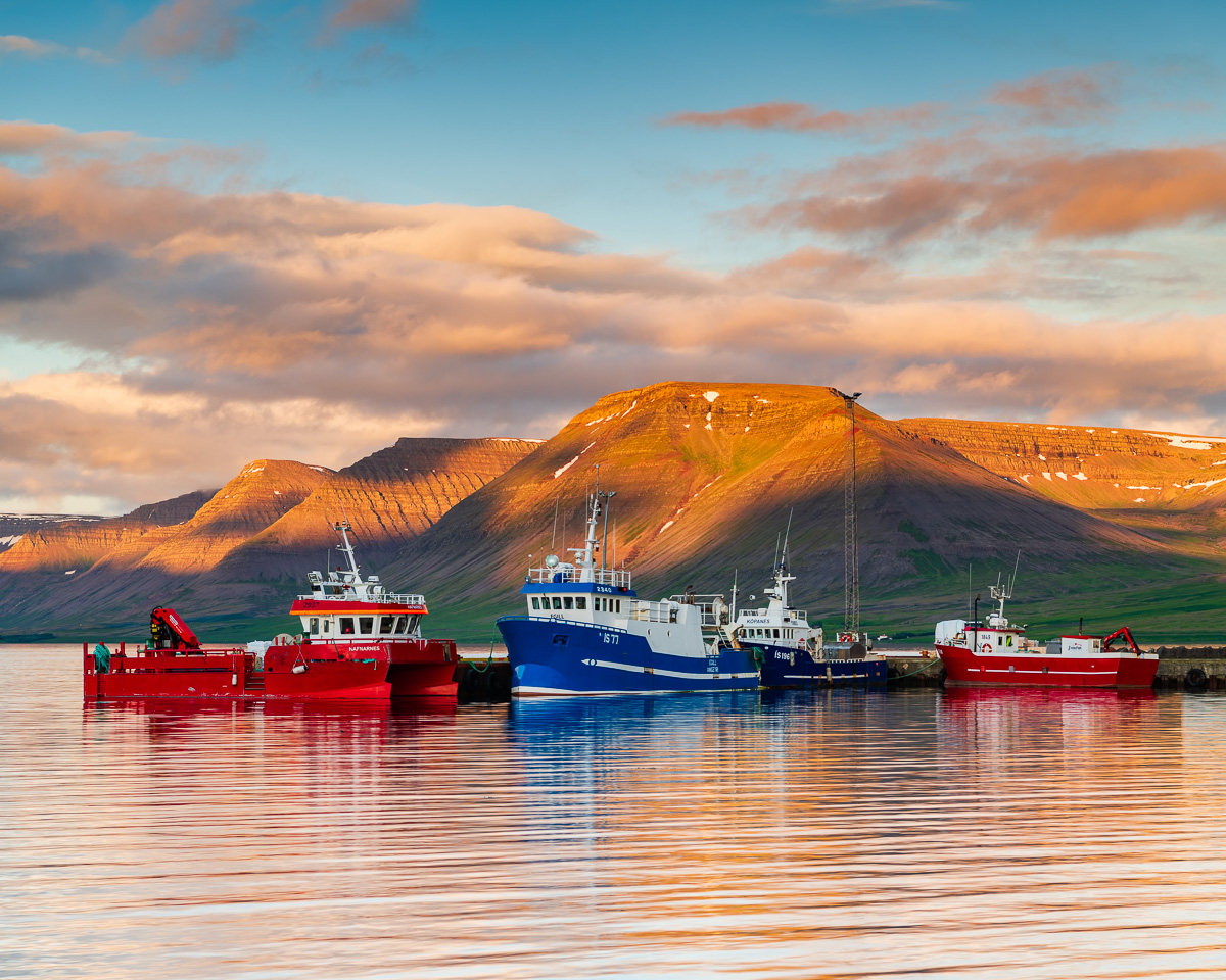 MAB-20180714-ICELAND-WESTFJORDS-THINGEYRI-HARBOR-9574.jpg