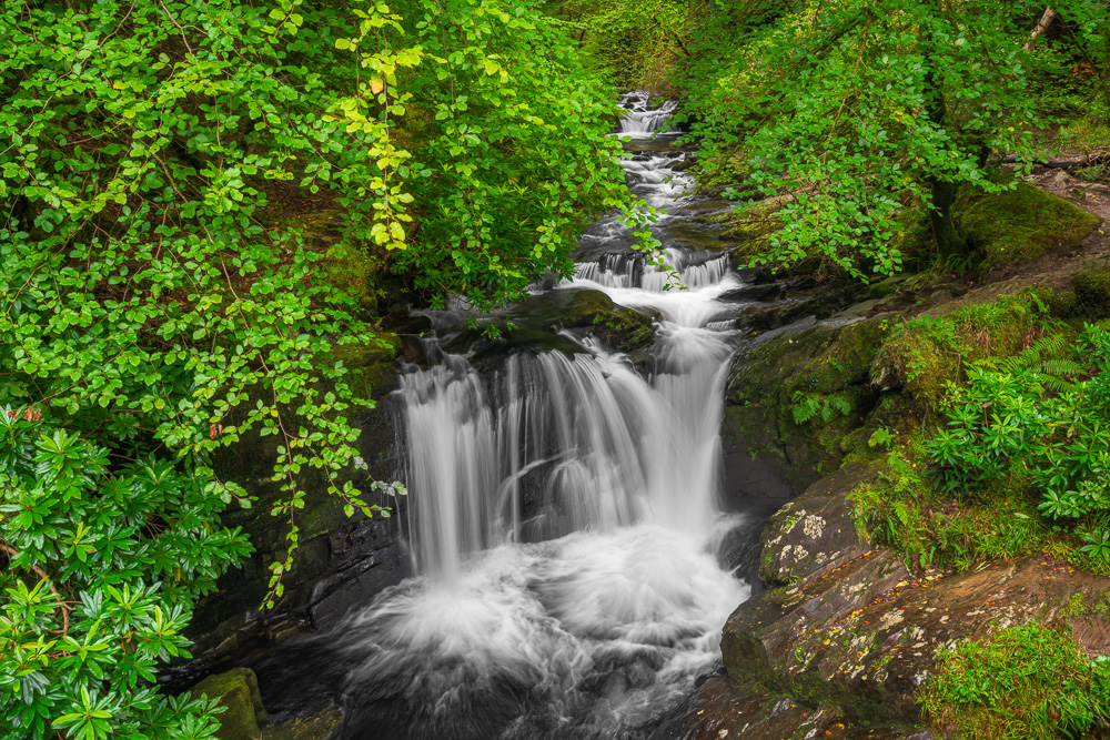 MAB-20250916-IRELAND-KERRY-TORC-WATERFALL-8098.jpg