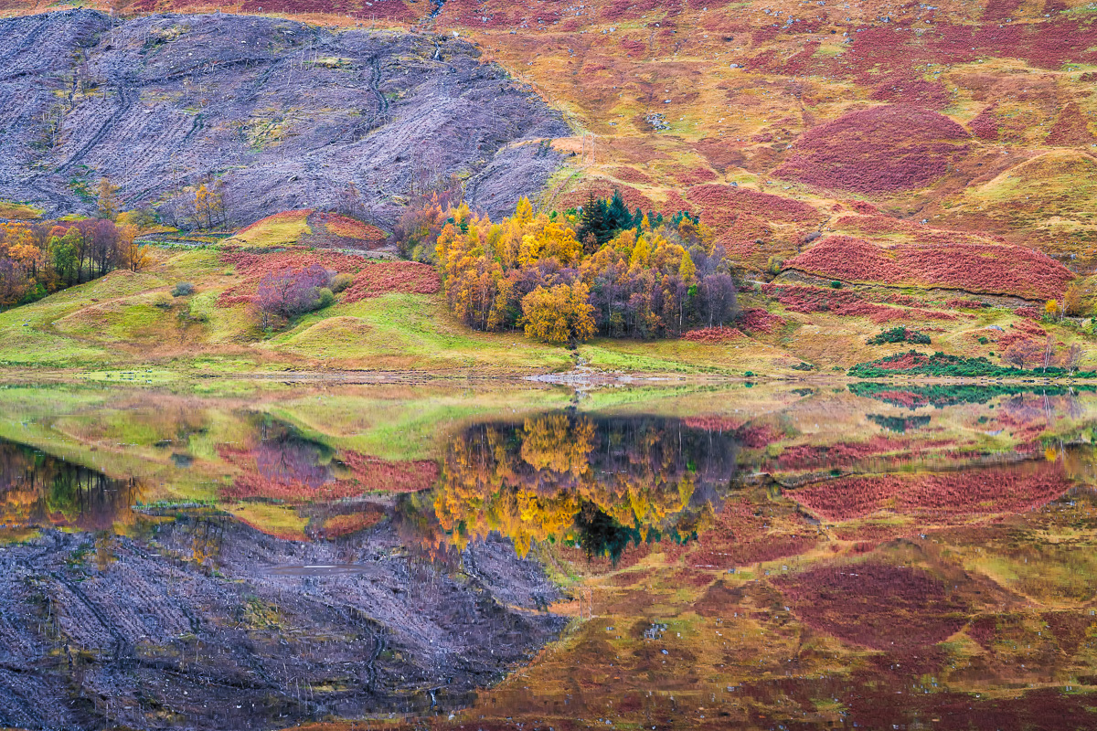 MAB-20191102-GB-SCOTLAND-LOC-DOCHART-78384.jpg