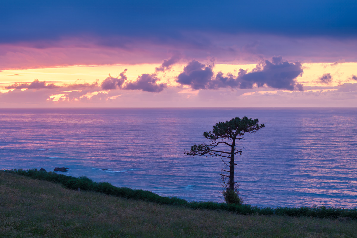 MAB-DJI-20250525-ES-ASTURIAS-VILLADEMOROS-TREE-SUNSET-0018.jpg