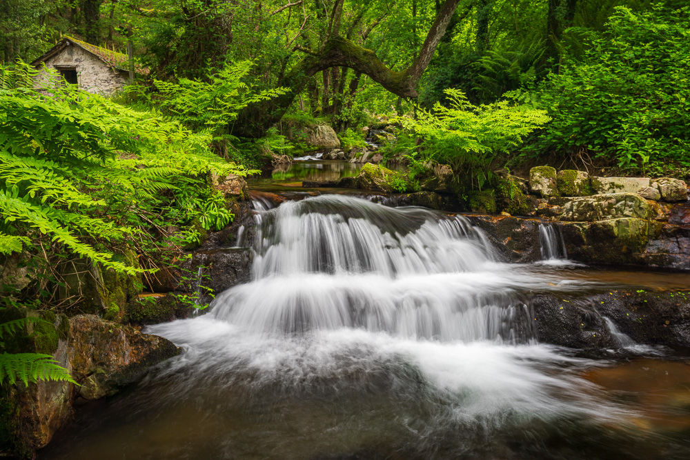 MAB-20250526-ES-ONETE-CASCADA-DE-ONETE-SPRING-6966.jpg