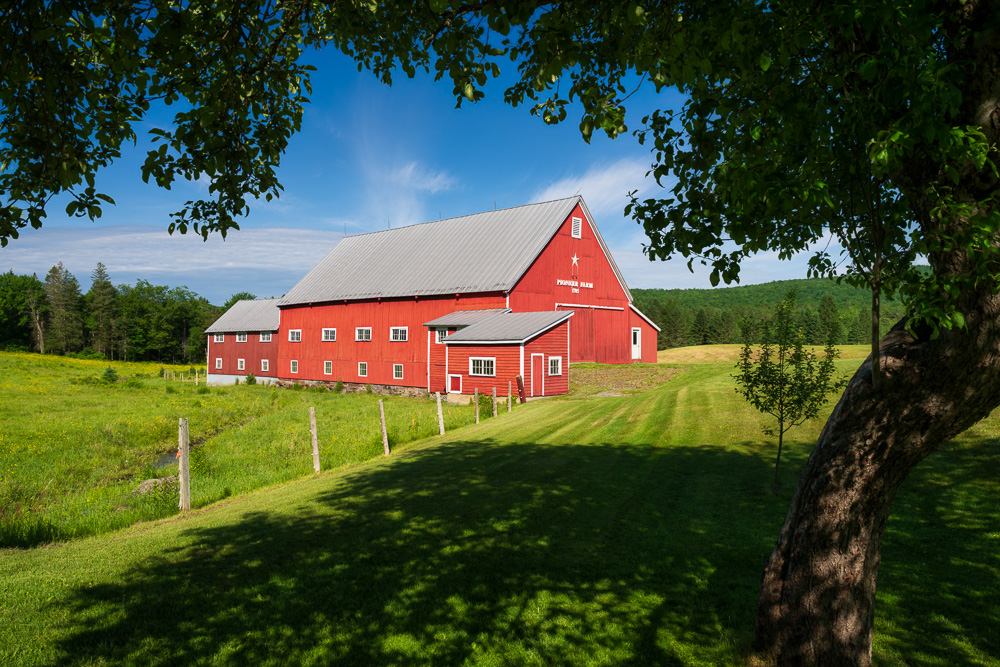MAB-20260617-NH-COLUMBIA-PIONEER-FARM-SPRING-5029.jpg
