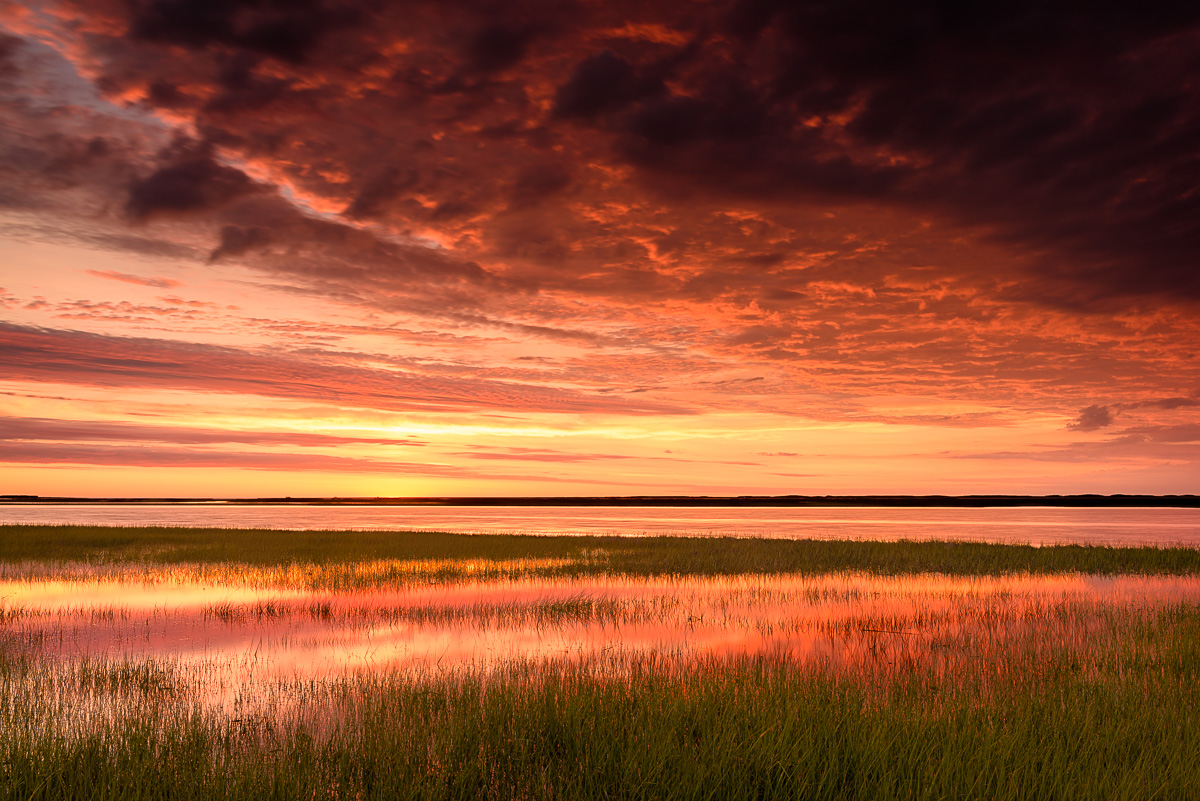 MAB-20170614-MA-EASTHAM-NAUSET-MARSH-8108641.jpg