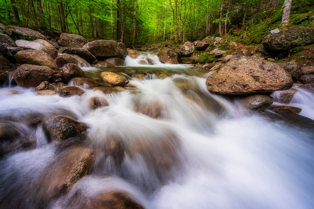 MAB-20200529-NH-FRANCONIA-DRY-BROOK-CASCADE-78743.jpg