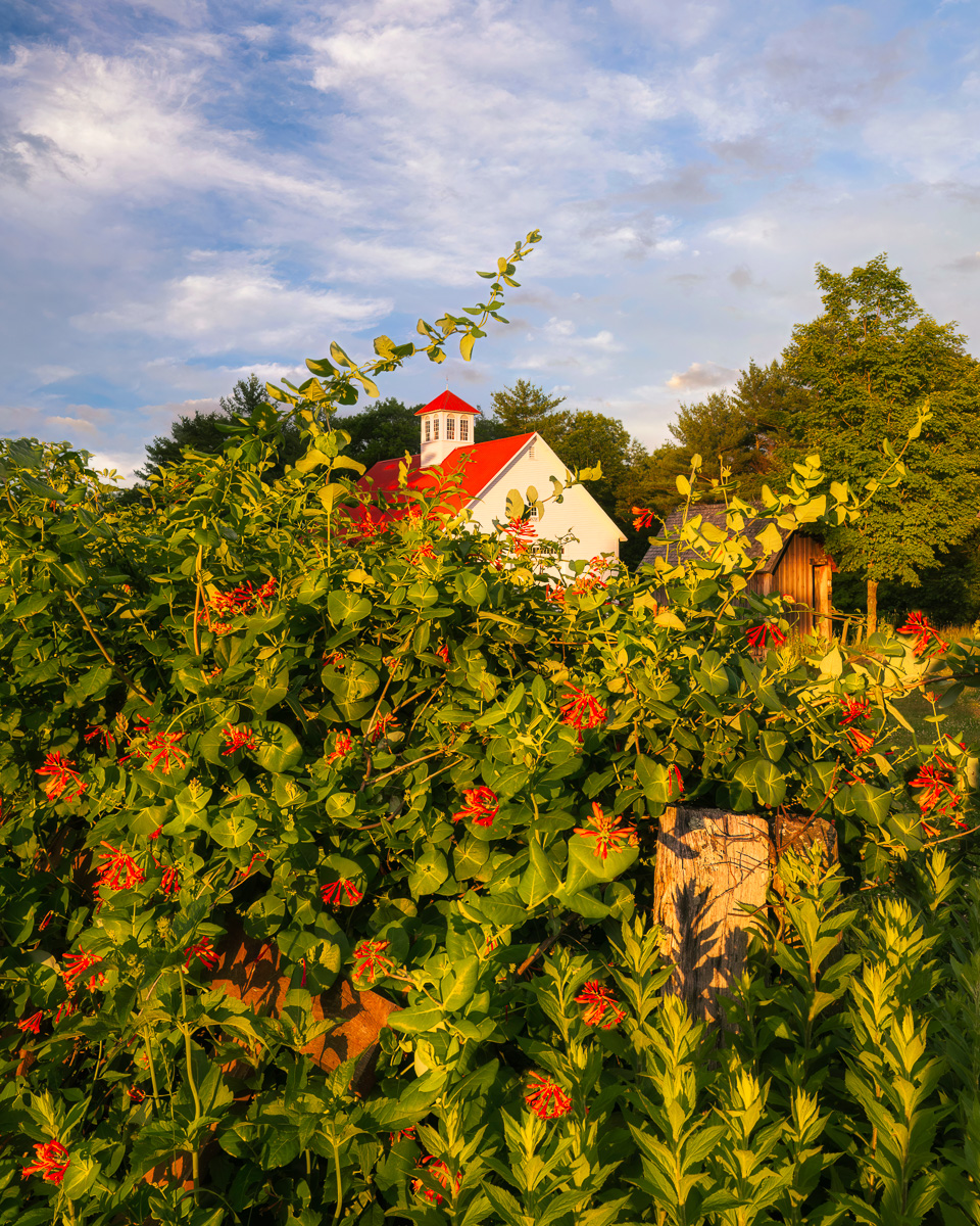 MAB-20220627-NH-MUSTER-FIELD-FARM-SUNSET-00090.jpg