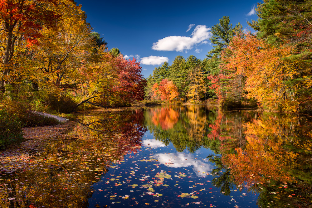 MAB-20151015-NH-CHOCORUA-RIVER-AUTUMN-8104588.jpg