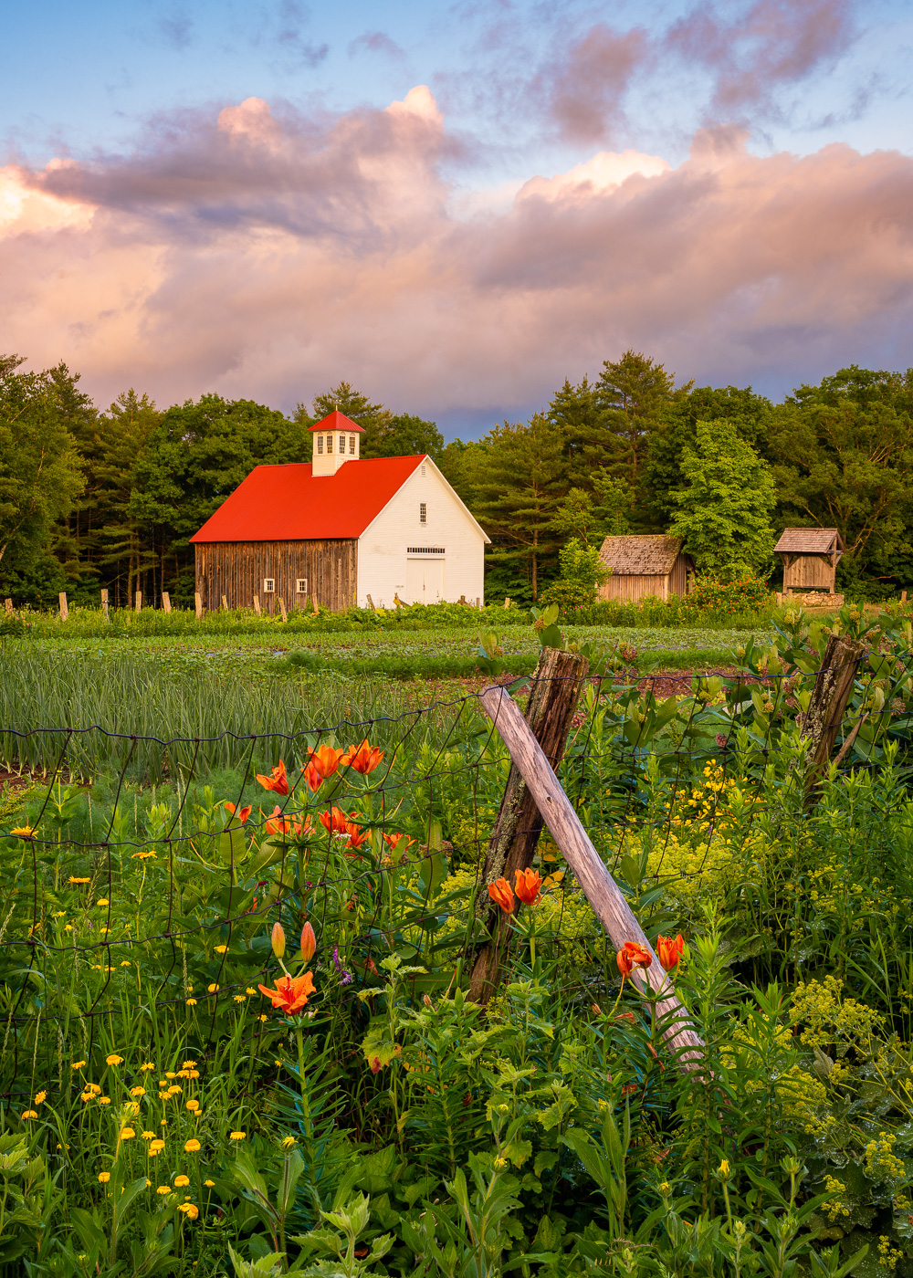 MAB-20200701-NH-MUSTER-FIELD-FARM-SUNSET-70476-FS-2.jpg
