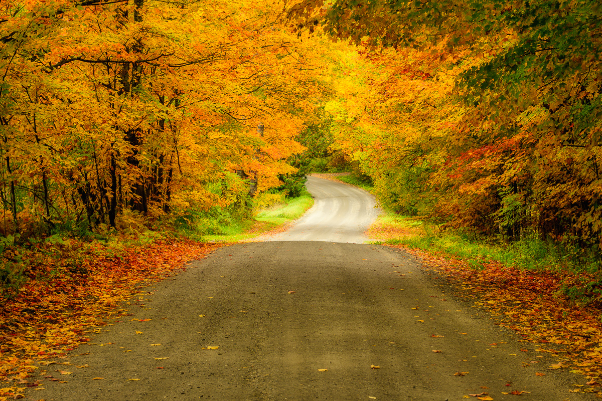 MAB-20181007-VT-GREENSBORO-FALL-FOLIAGE-70018.jpg