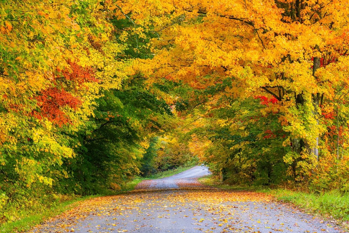 MAB-20221007-VT-MORRISTOWN-ROAD-FALL-FOLIAGE-21625.jpg