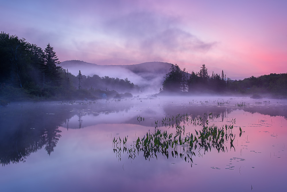 MAB-20170817-VT-MARSHFIELD-TURTLEHEAD-POND-SUNRISE-8109724.jpg