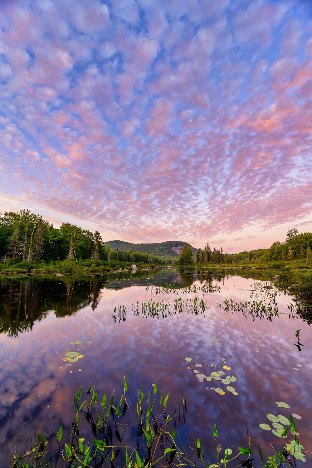 MAB-20190813-VT-POND-SUNSET-REFLECTION-75762.jpg