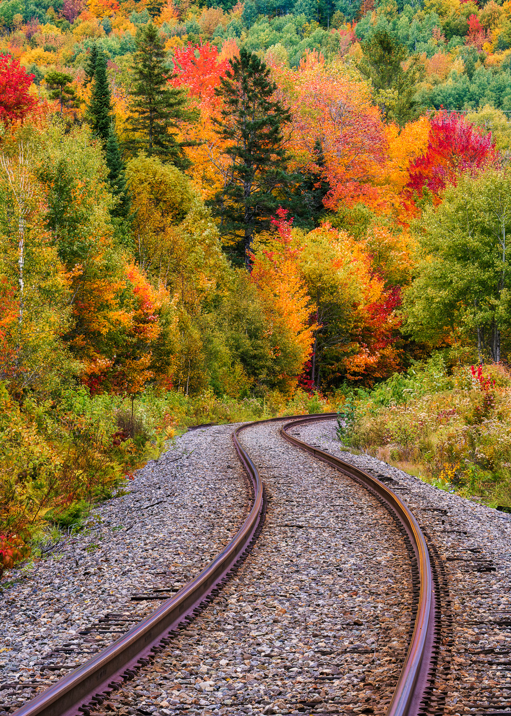MAB-20220928-VT-BRUNSWICK-RAILROAD-TRACK-AUTUMN-20993.jpg