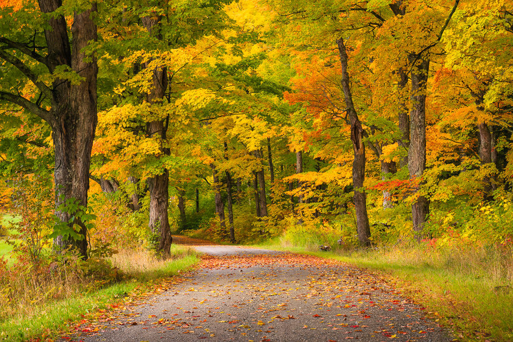 MAB-20221007-VT-MORRISTOWN-ROAD-FALL-FOLIAGE-21633.jpg