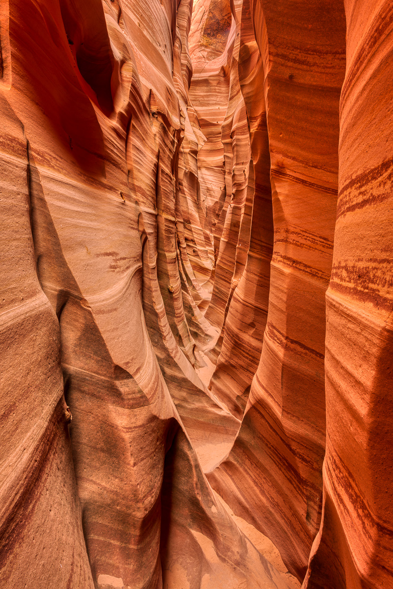 MAB_20130505_UTAH_ESCALANTE_ZEBRA_CANYON_8009037.jpg