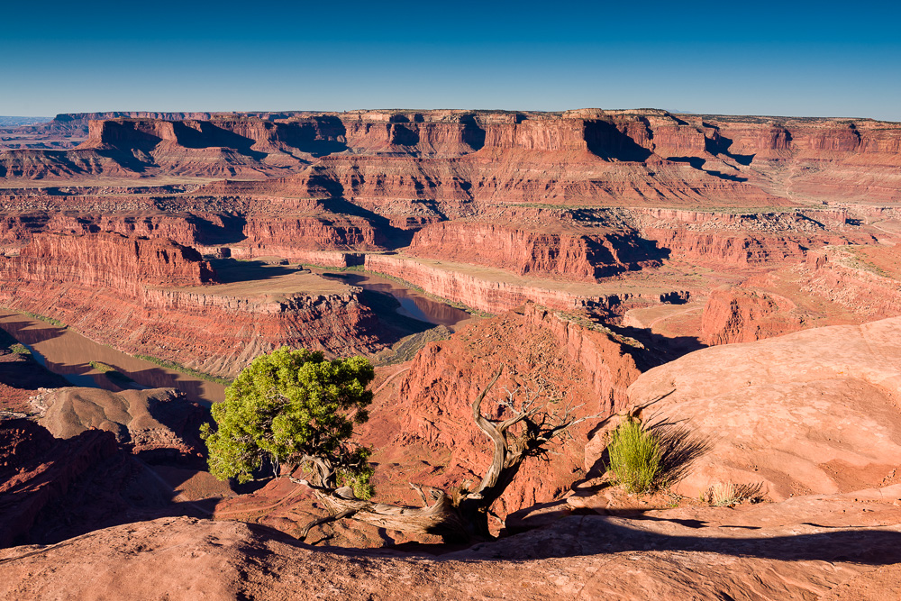 MAB-20150920-UT-DEAD-HORSE-POINT-SUNRISE-8102343.jpg