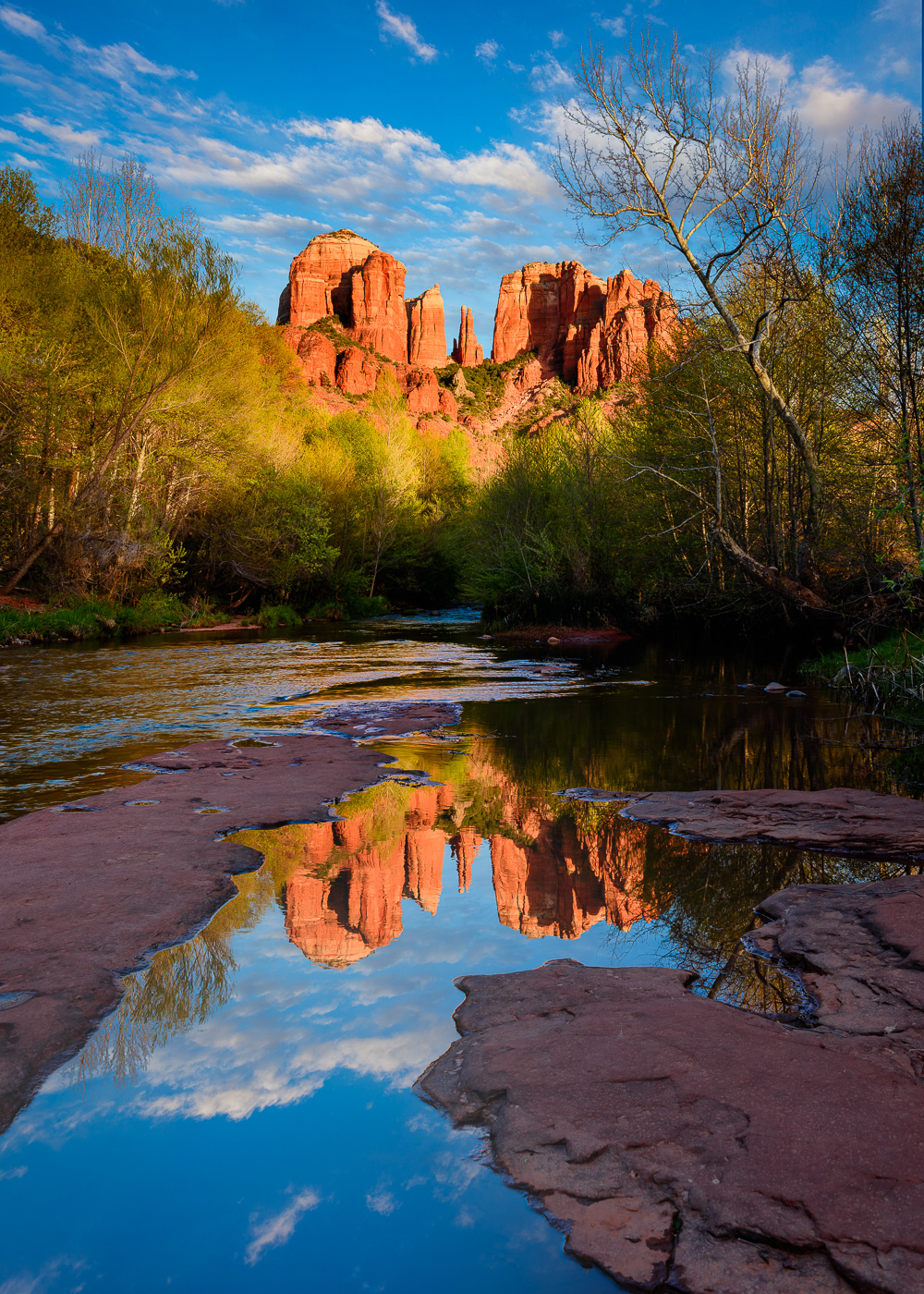 MAB-20170404-AZ-SEDONA-CATHEDRAL-ROCK-8106876.jpg