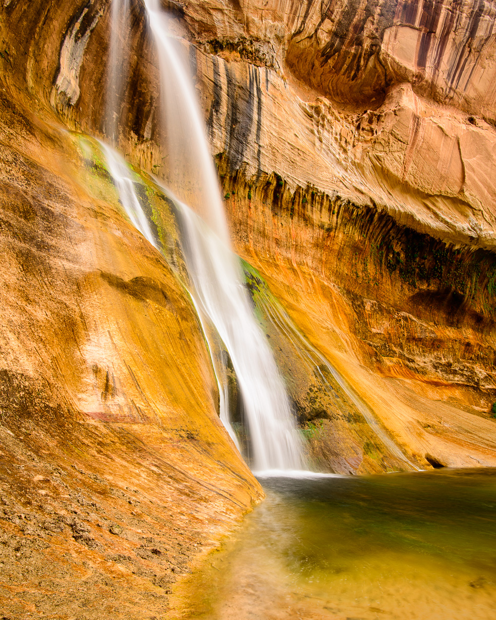 MAB_20130506_UTAH_ESCALANTE_CALF_CREEK_FALLS_8009172.jpg