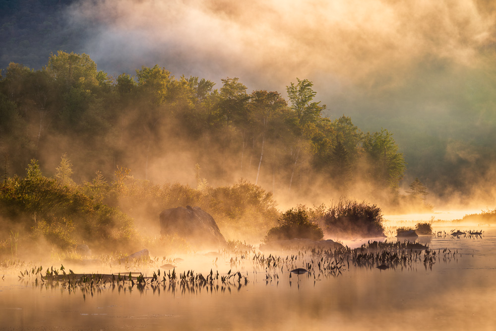 MAB-20250903-VT-MARSHFIELD-TURTLEHEAD-POND-SUNRISE-FOG-7920.jpg