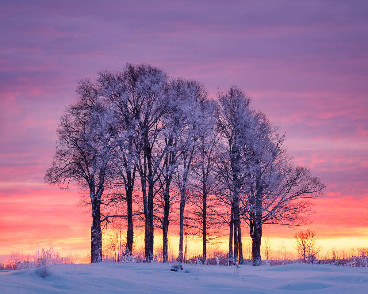 MAB-20251203-VT-TREES-SUNSET-WINTER-SNOW-089934.jpg