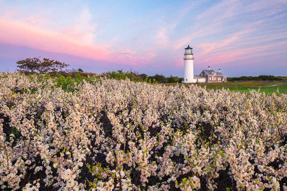 MAB-20250514-HIGHLAND-LIGHT-BEACH-PLUMS-SUNRISE-6218.jpg