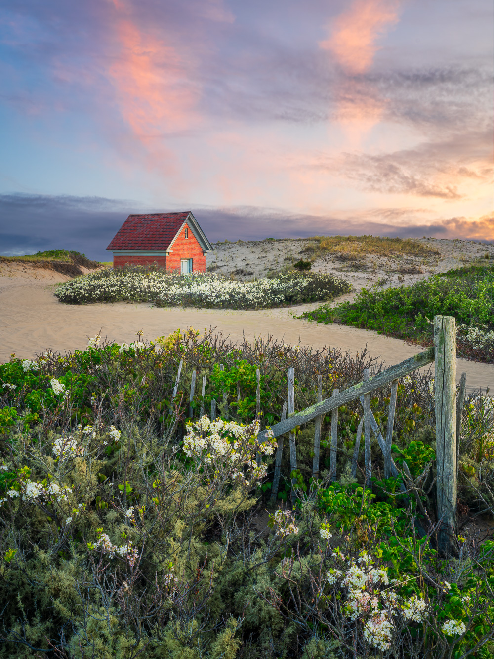 MAB-20250514-RACE-POINT-LIGHT-OIL-HOUSE-BEACH-PLUMS-6473.jpg