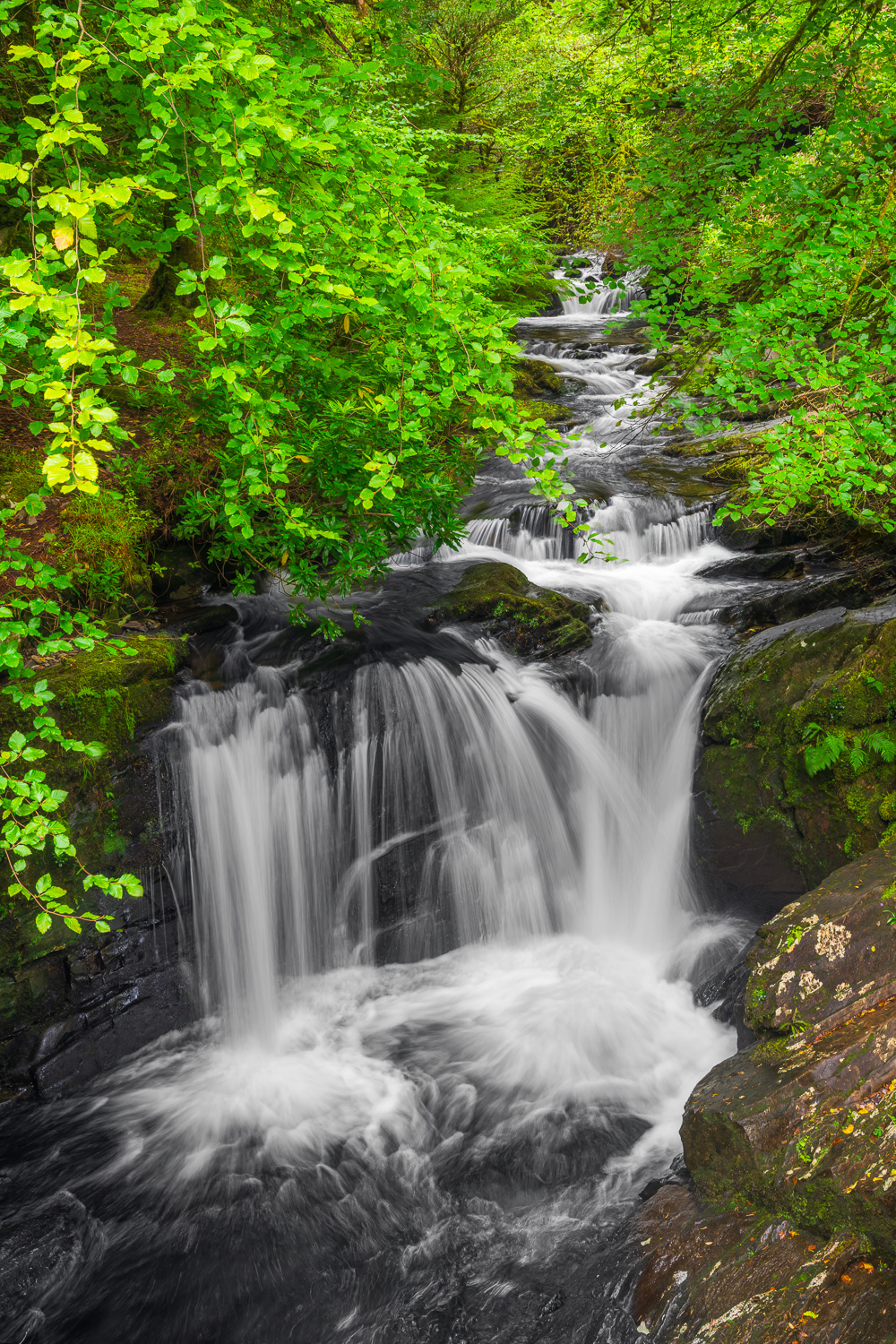 MAB-20250916-IRELAND-KERRY-TORC-WATERFALL-8106.jpg