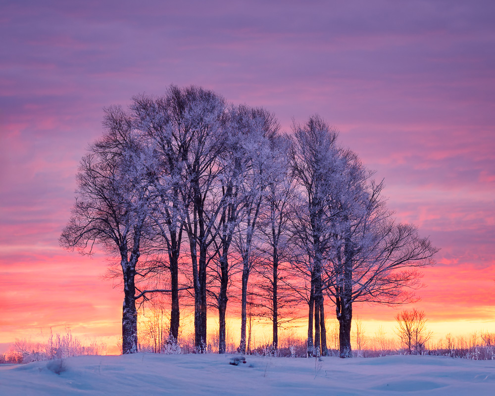 MAB-20251203-VT-TREES-SUNSET-WINTER-SNOW-089934.jpg