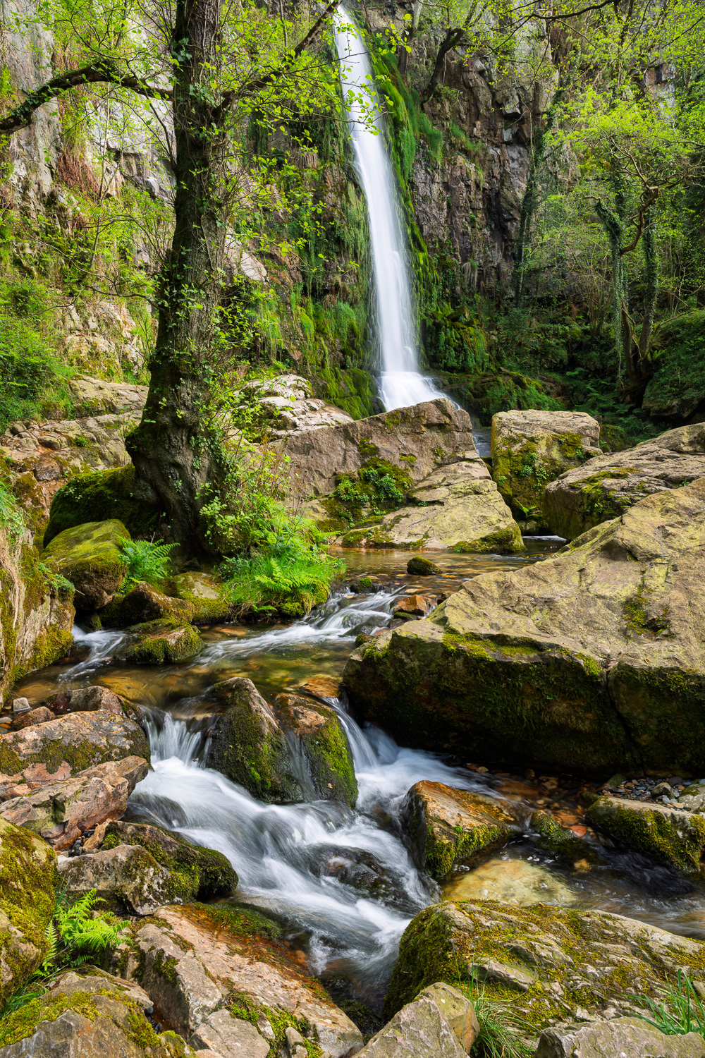 MAB-20260411-SPAIN-ONETTE-CASCADA-LA-FIRBIA-SPRING-2972.jpg