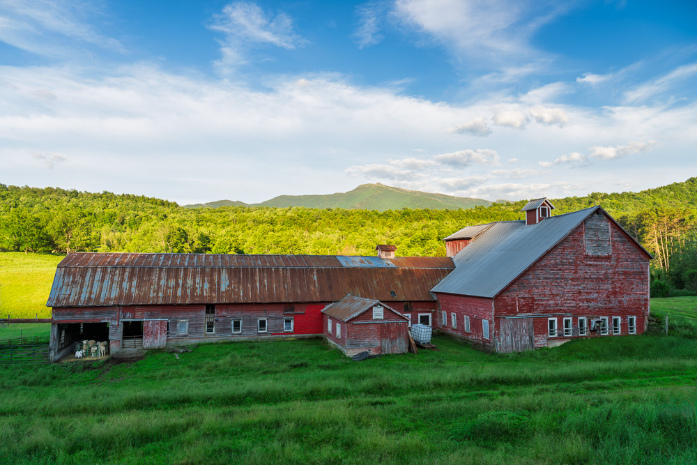 MAB-20260623-VT-UNDERHILL-RED-BARN-SUMMER-5053.jpg