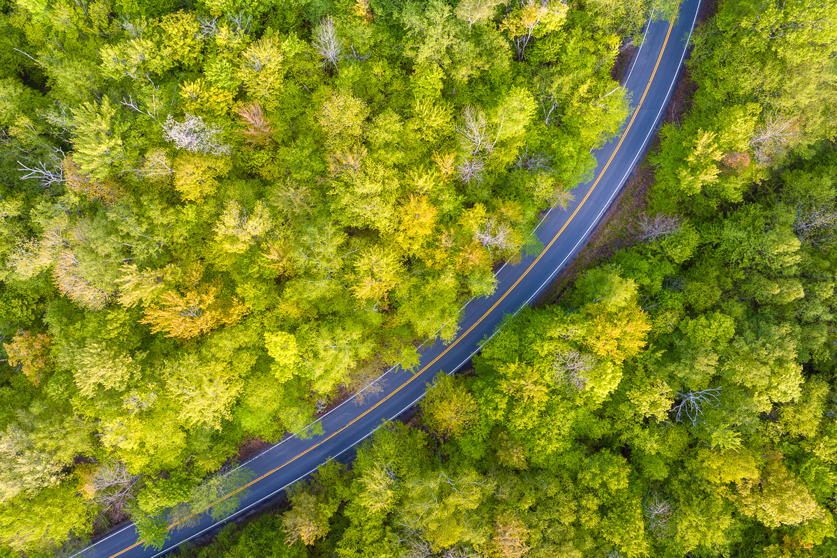 MAB-20230523-VT-DJI-SPRING-FOREST--24.jpg