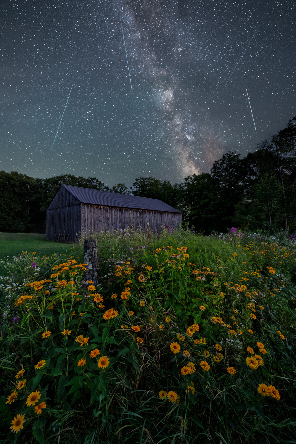 MAB-20260813-NH-MUSTER-FIELD-FARM-MILKY-WAY-6397.jpg