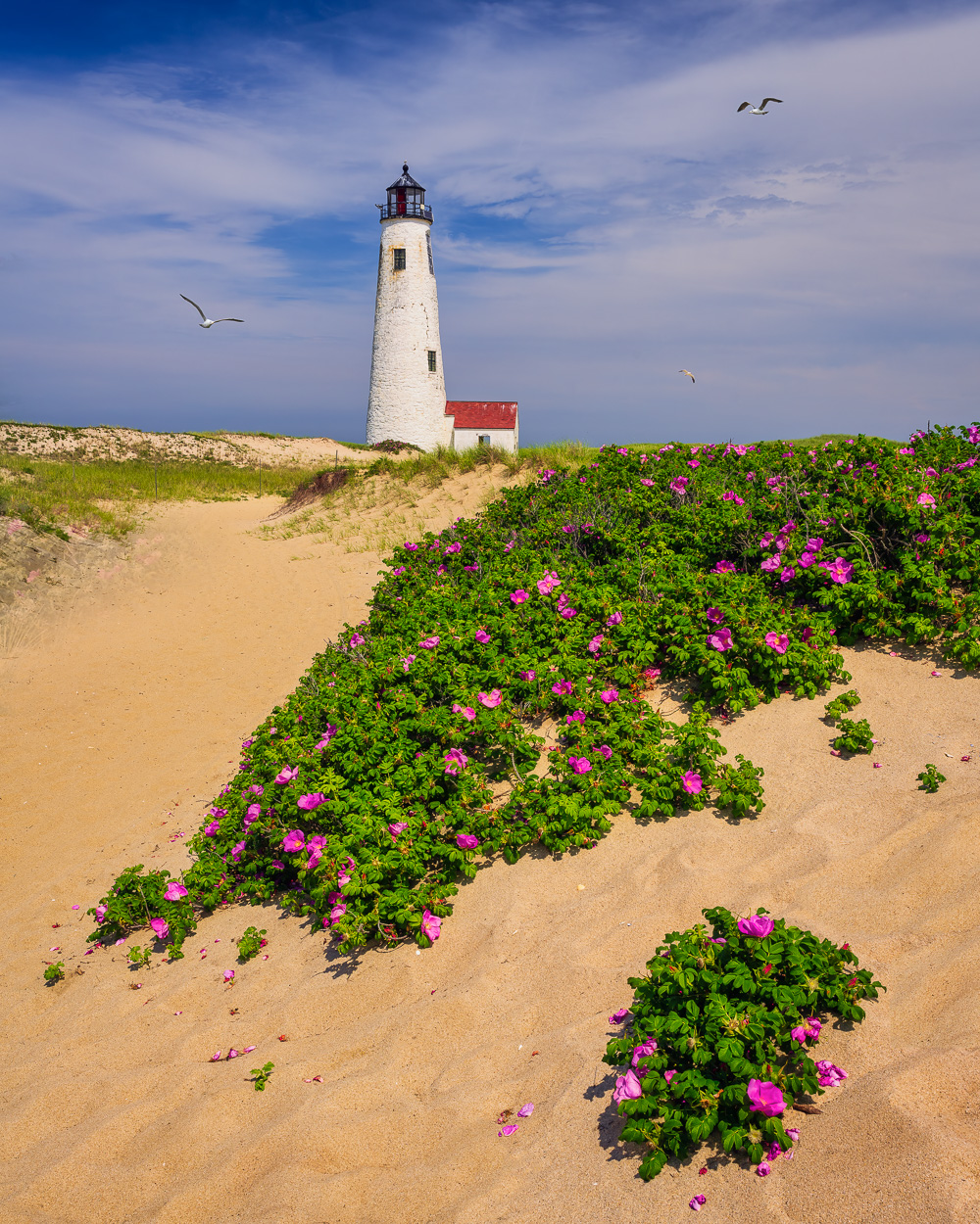 MAB-20210609-MA-NANTUCKET-BRANT-POINT-LIGHT-76721.jpg