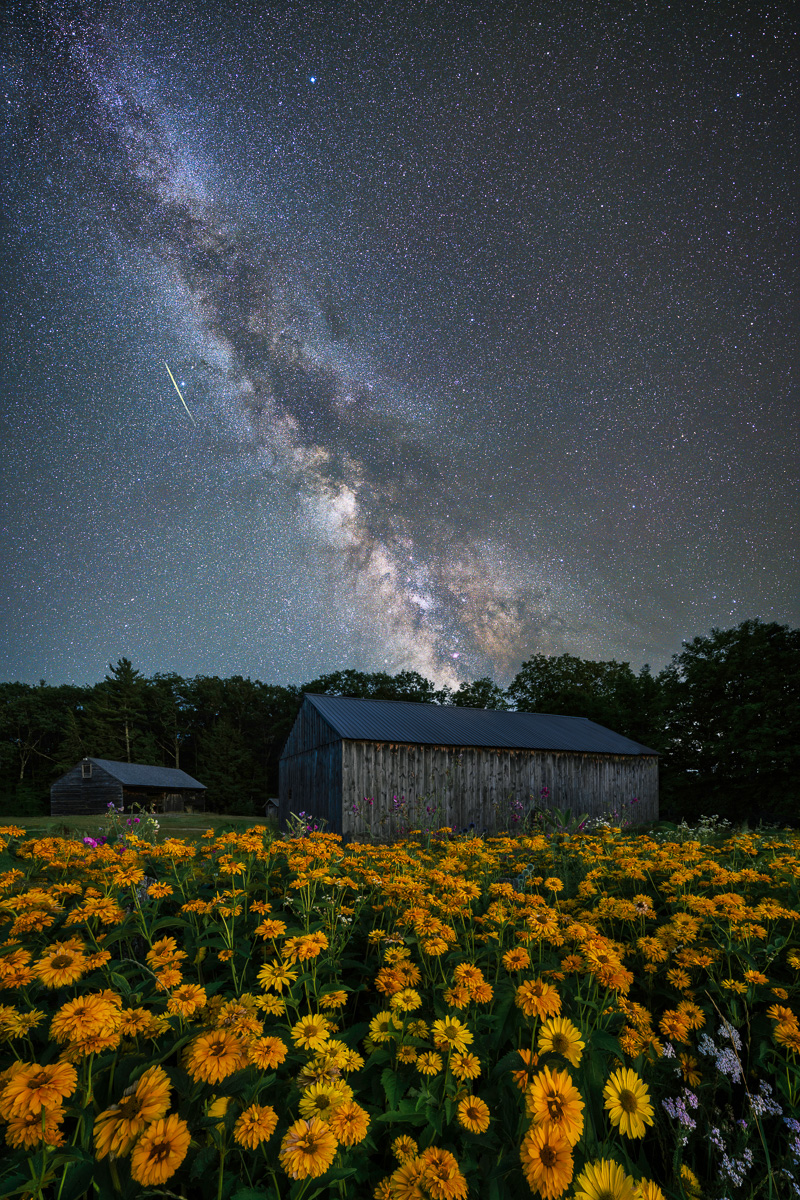 MAB-20220729-NH-MUSTER-FIELD-FARM-MILKY-WAY-28462.jpg