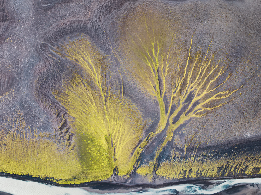 MAB-DJI-20250730-ICELAND-HIGHLANDS-YELLOW-TREE-IMPRESSION-0003.jpg