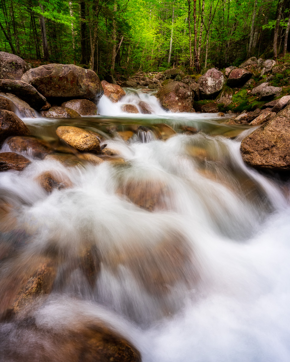 MAB-20200529-NH-FRANCONIA-DRY-BROOK-CASCADE-78730.jpg