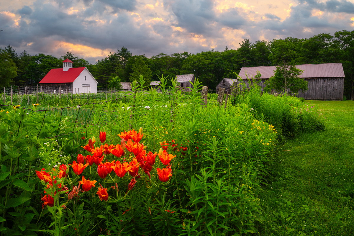 MAB-20250626-NH-MUSTER-FIELD-FARM-SUNRISE-7373-FS.jpg