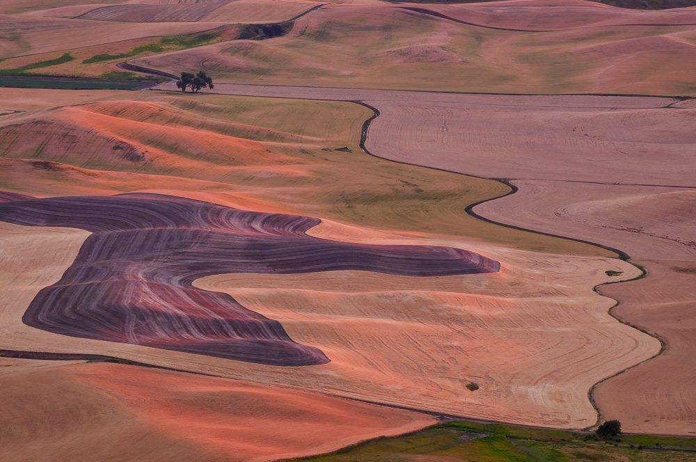 Palouse