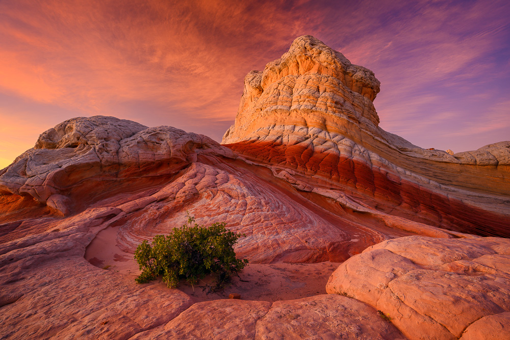 Desert Southwest
